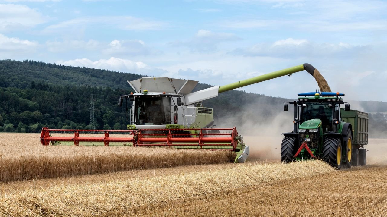 Tractor and harvester working collaboratively in a wheat field on a sunny day.