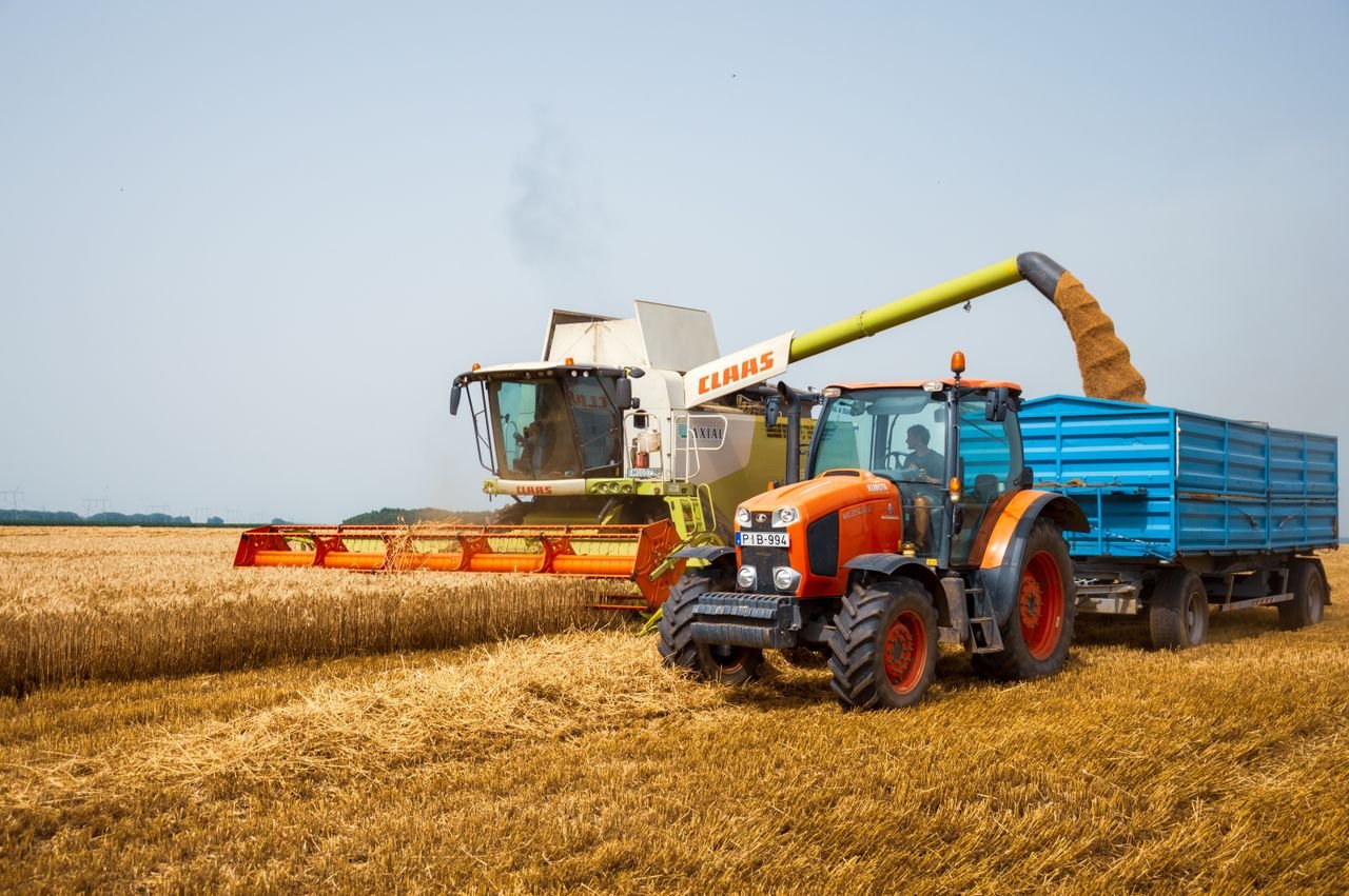A modern tractor and harvester working in a wheat field during the summer harvest.