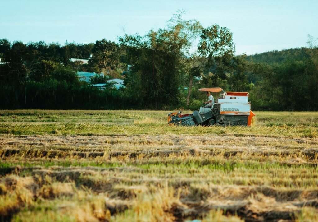 Tractor harvesting rice in a lush field in Kon Tum, Vietnam.