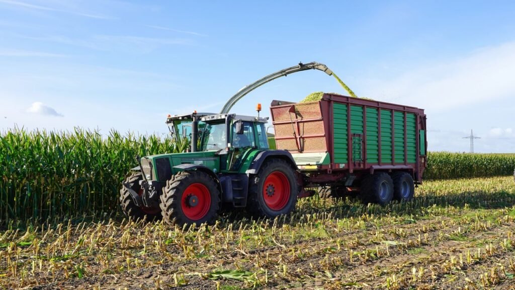 Tractor and trailer in cornfield during harvest in Marschacht, Germany.